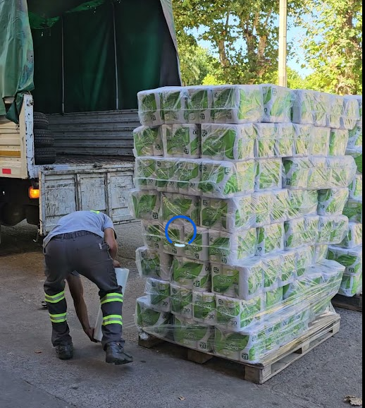 mercaderia palletizada